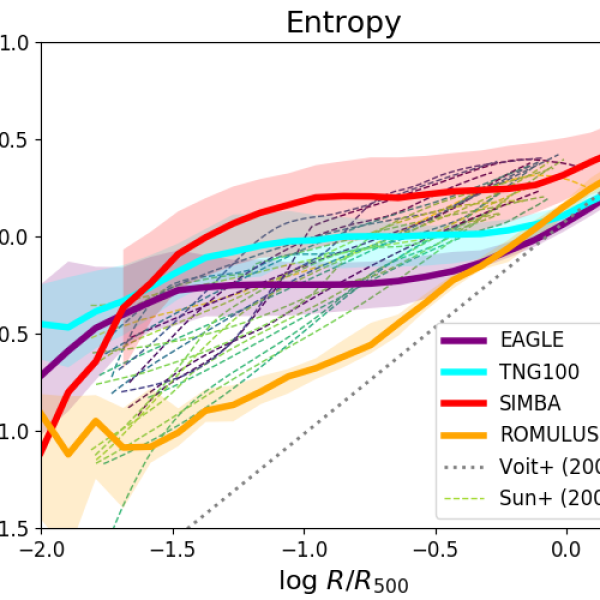Entropy profile simulations