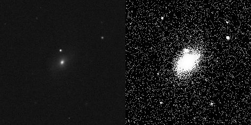 SN 1998bu